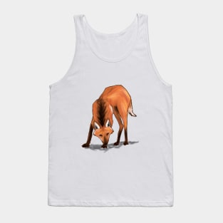 Maned wolf (Chrysocyon brachyurus) Tank Top